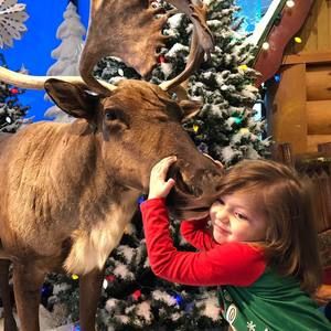 Meet your Posher, Windy